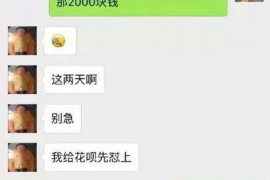 庄河为什么选择专业追讨公司来处理您的债务纠纷？